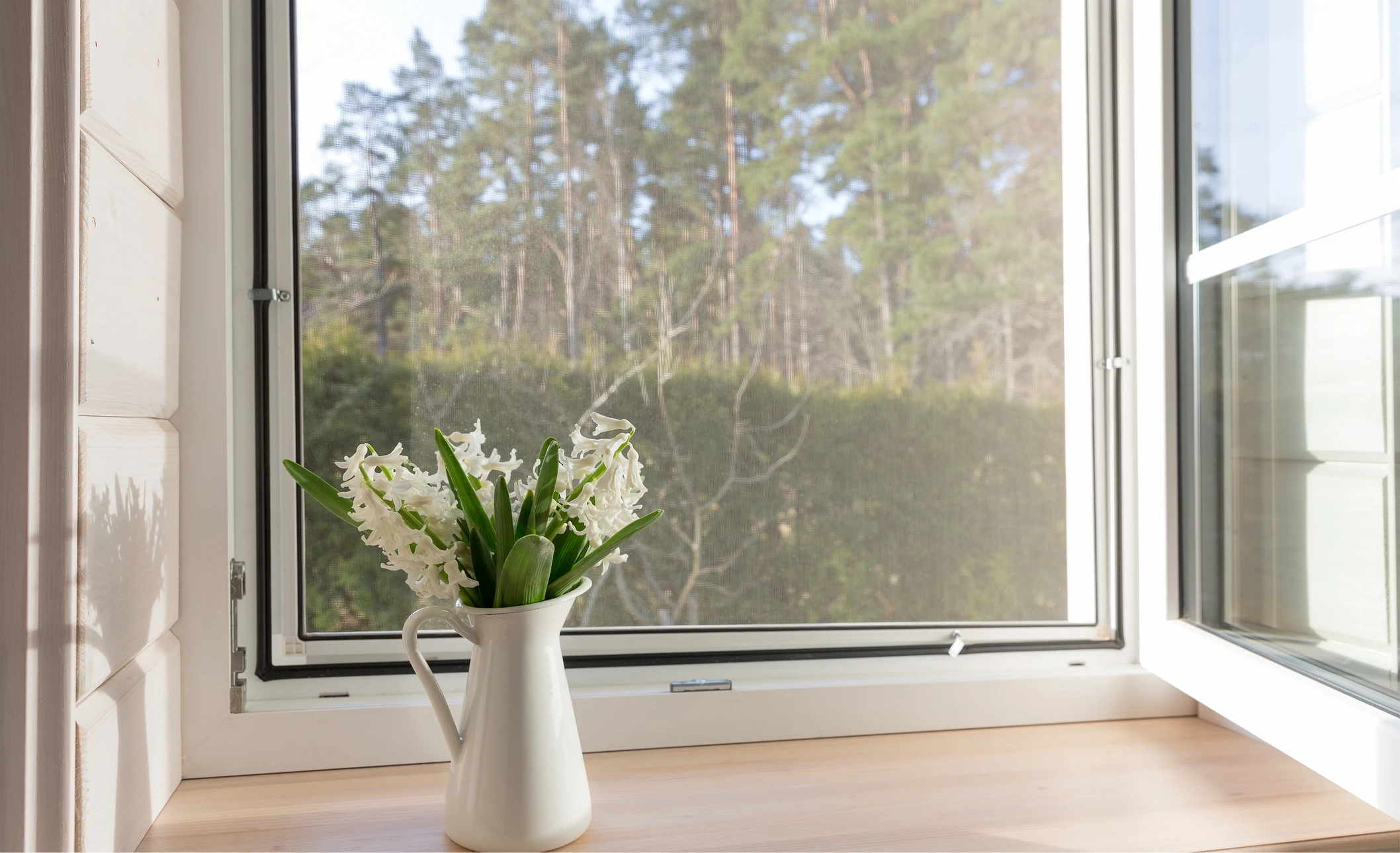 Intérieur résidentiel avec moustiquaire fine installée sur fenêtre